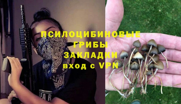 MDMA Новозыбков