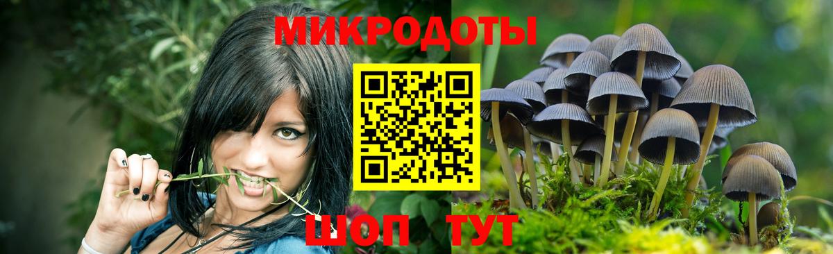 Псилоцибиновые грибы Magic Shrooms  Вход с VPN  купить закладку  Аксай 